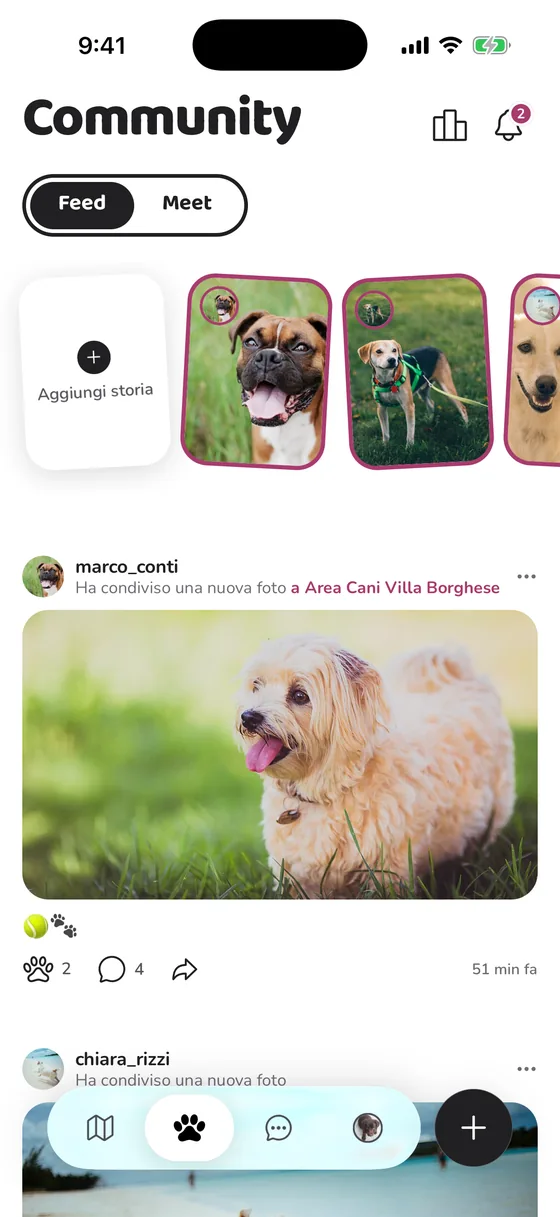 La bacheca di PawFriend: le storie degli amici e una foto condivisa a Villa Borghese