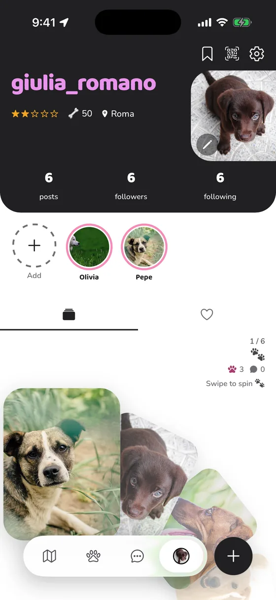 A PawFriend profile with two dogs, Olivia and Pepe, and a stack of photos